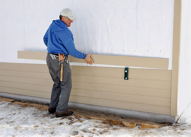 Best Custom Trim and Detailing for Siding  in Albion, IL